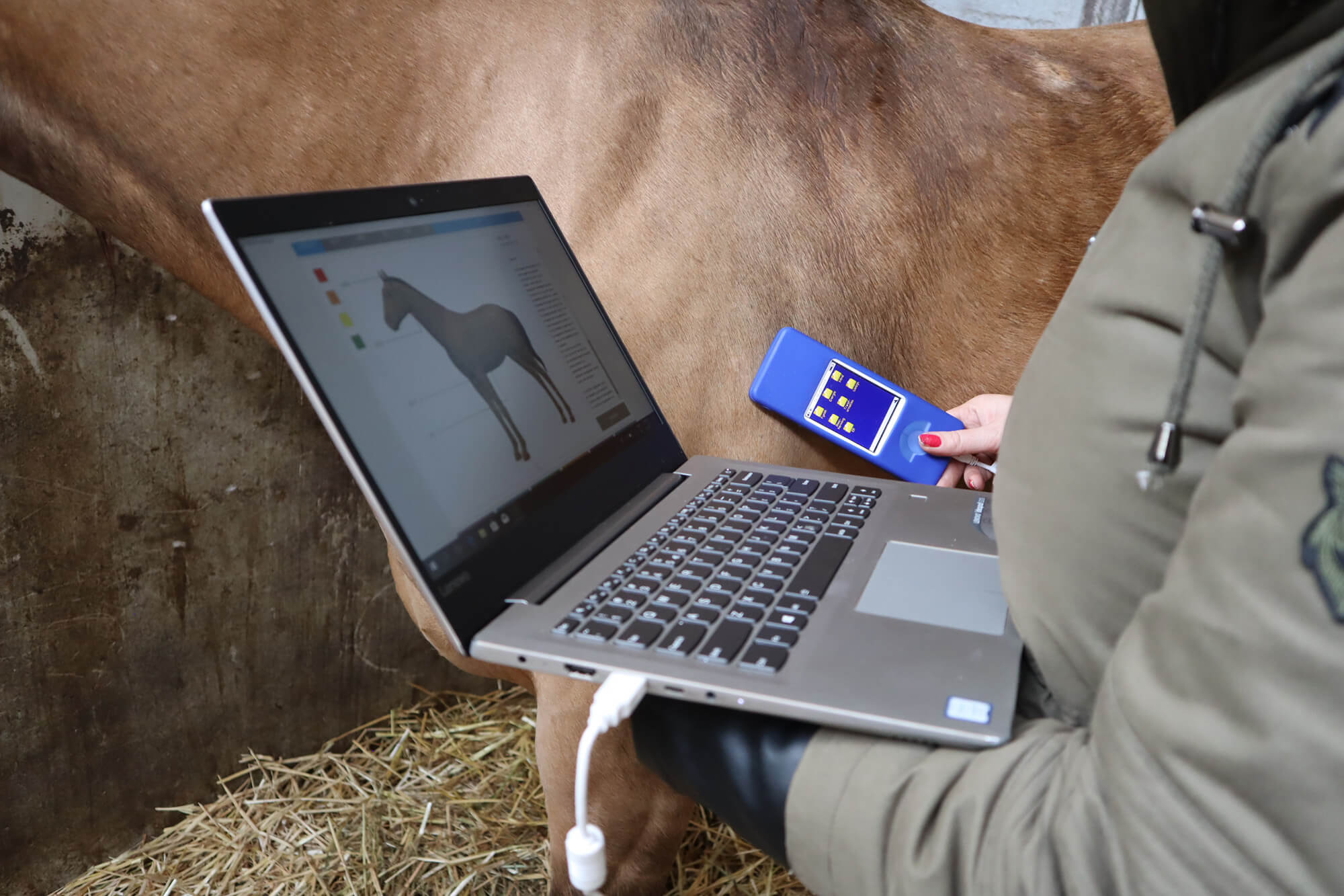 equi-health-center equi-health-center